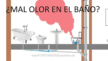 ¿Cómo evitar el olor a cloaca en el baño?