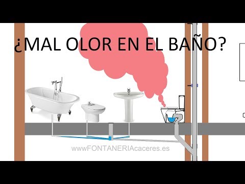 Video: El baño huele a cloaca: ¿qué hacer?