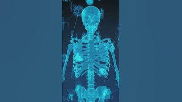 AI transforms pathology for cancer detection