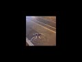 Alek Olsen Someday I Ll Get It Sped Up Alek Olsen Someday I Ll Get It Sped Up
