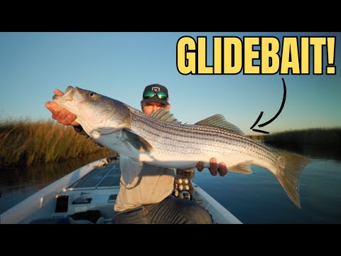 california delta fall striper fishing lures Fishing for Big Fall Run Stripers [California Delta]