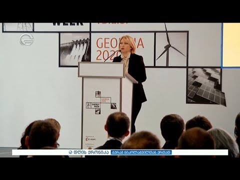 დღის ქრონიკა -  29 იანვარი, 2020 წელი