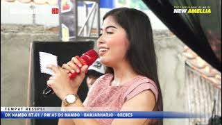 Penyakit Ati - Dewi Diva | NEW AMELLIA - Ds Nambo - Banjarharjo