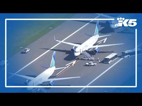 Air travel back to normal after FAA-ordered ground stop