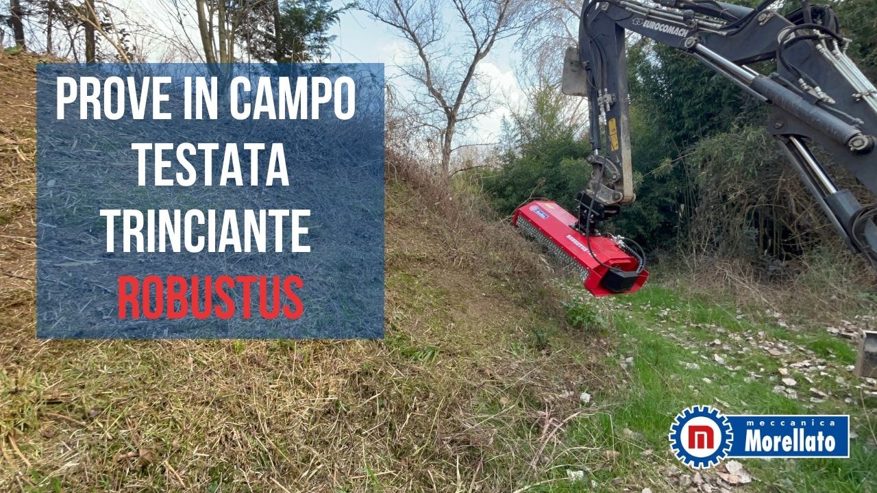 Testiamo la nuova testata trinciante ROBUSTUS