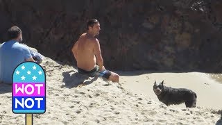 Luke Wilson Takes His Loyal Dog For An Ocean Dip