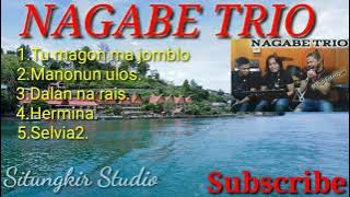 Lagu Batak Tumagon ma jomblo. #nagabetrio