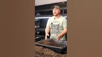 Soil Blocks With ProMix