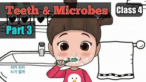 Class 4 | Chapter 2 | Teeth and Microbes : Part 3  ( Care of teeth, healthy teeth tips , microbes )