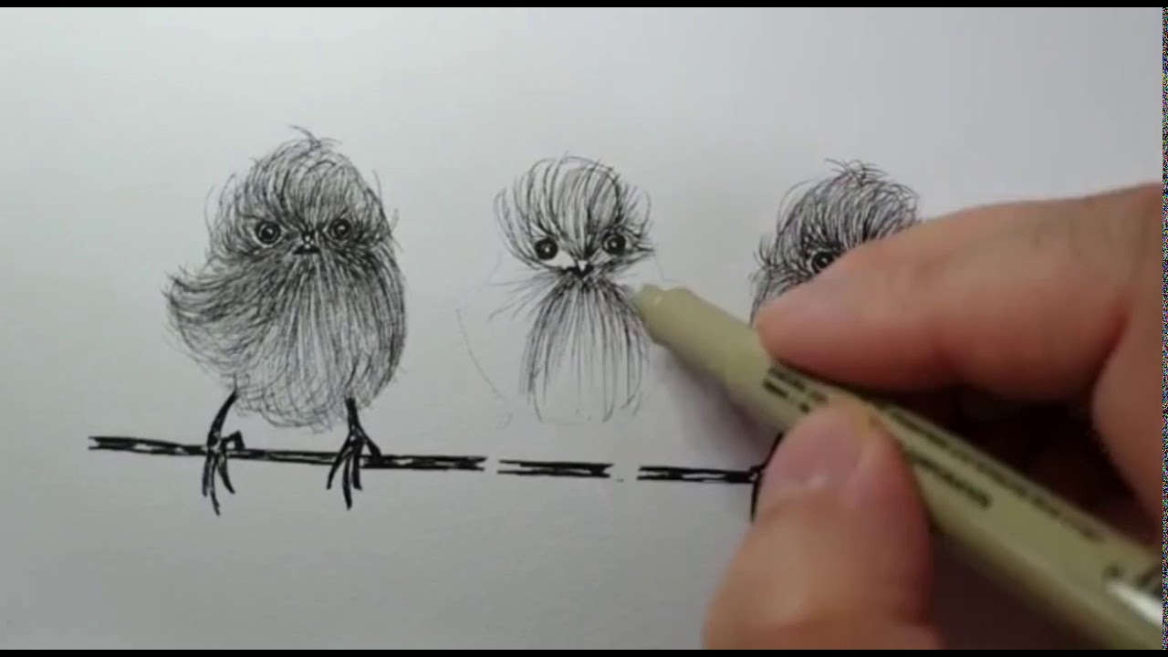 Fluffy Birds Line Drawing, Doodling  |The Petals Studio