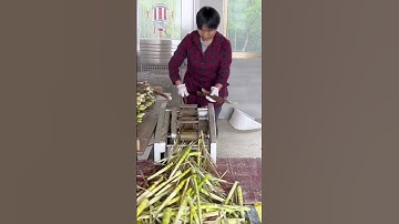 Farming tool for quick asparagus peeling #farming #agriculture #shorts