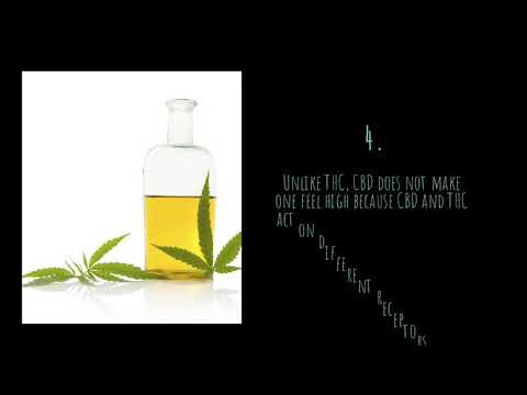 Evergreen Farms CBD Gummies: 7 Honest Reviews from Users