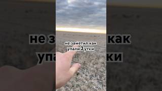 Охота на утку в Казахстане. #рыбалка #охота #охотанагуся