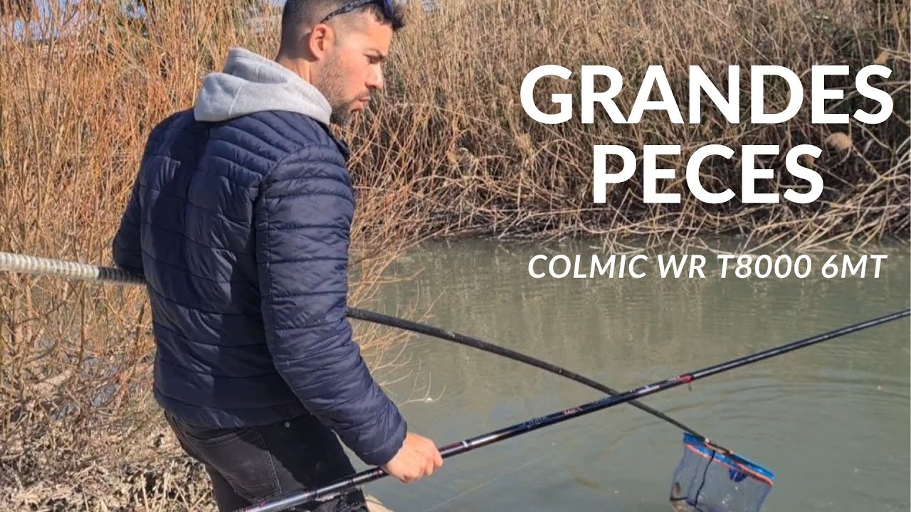 Grandes peces con la WR T8000 de 6mt