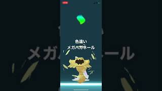 ポケモンgo 色違いハガネールをメガシンカ 色違いメガハガネール Youtube