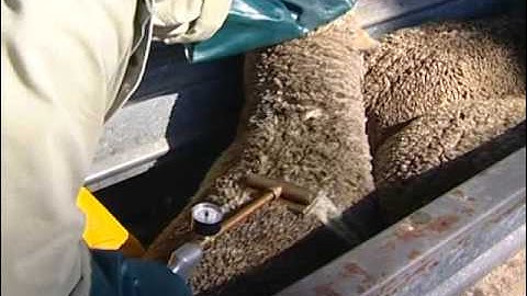 Hand jetting with the Dutjet