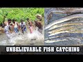 Unbelievable Eel & Ara Fish Catching and Cooking at papanasam Dam | விலாங்கு & ஆரா மீன் குழம்பு