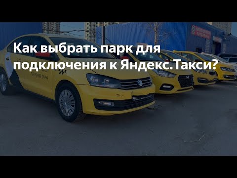 Видео: Уличен демо парк на компанията „Славянство“бе открит в Санкт Петербург