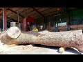 #109 【製材】楠（クス）　【lumbering】camphor tree