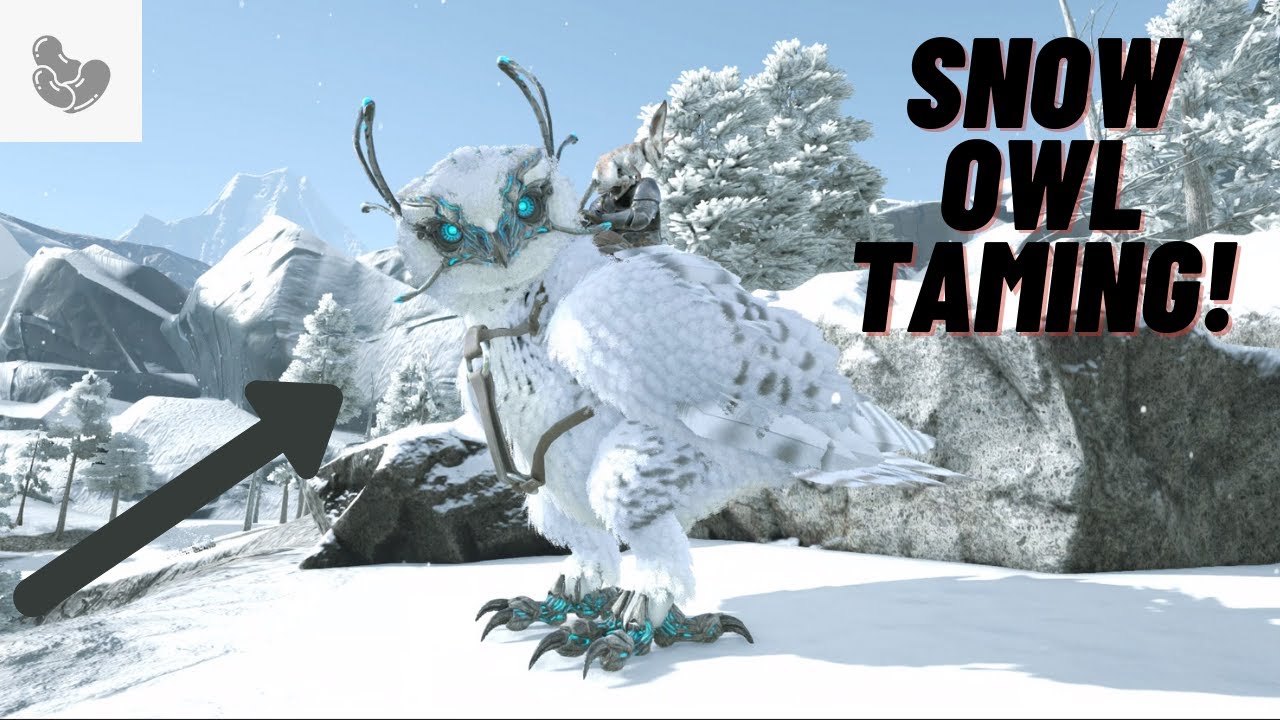 High Level Snow Owl Taming!! Solo Modded Ark Valguero Ep.6 YouTube