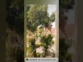 #foryou #fpyシviral #fypyoutube #viralshorts #viralvideo #governmentcolleges #universityofhyderabad