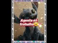 Pobre é uma tristeza😭😭😭