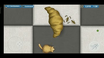 Tasty Planet 4 walkthrough with no comments.From level four to ten.