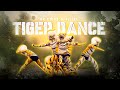 Tiger Dance Pili Nalike mp3