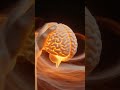 why you can't tickle yourself #curiosity #didyoukno #humanbrain #mindblown