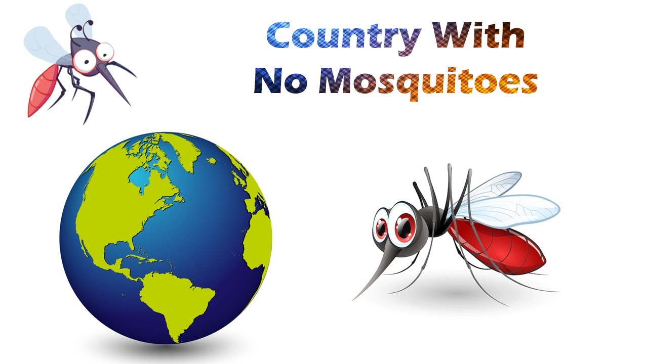 Country Wih No Mosquitoes Iceland YouTube