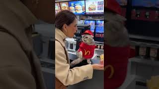 Kasiyer Kedi Azarlanıyor.