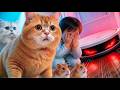Big Trouble! Big Brother Cat Saves His Cute Friends from a Runaway Robot Vacuum! 🦸