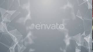 Celebrity Plexus White Background | Motion Graphics - Videohive template Net Worth