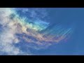 【cover】宇多田ヒカル「wings」
