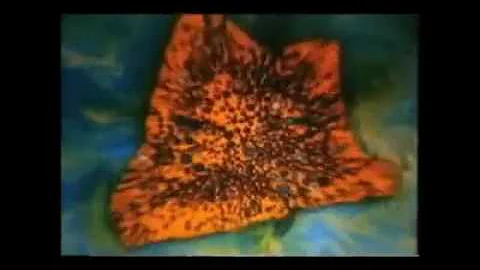 URBAN RENEWAL -LOVE EYES