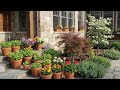 My Home Decoration With Small Plants Flowers And Trees ASMR 