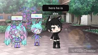 Cottonfluff Boy Version