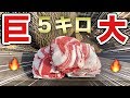 【大量】巨大肉！４万円分の希少肉をBBQ焼肉でいきなり大食い！【飯テロ】ステーキ並みのデカさ
