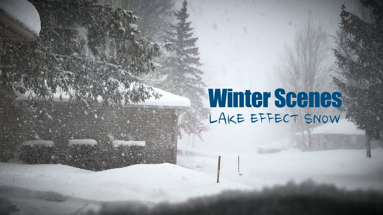 Winter Scenes- Heavy Lake Effect Snow Jan 2025 - YouTube