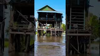 House built over water at Siem Reap province #cambodia #travel #nature #tour #lake #culture #travel