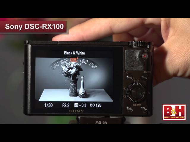 Sony DSC-RX100 - YouTube
