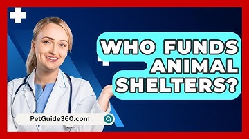 Who Funds Animal Shelters? - PetGuide360.com