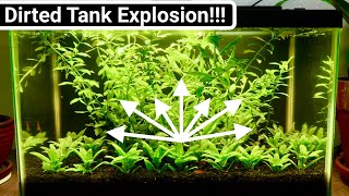 Nano Dirted Tank | 60 Day Planted Tank Explosion! by Aquarium Plant Lab 2,852 views 2 years ago 5 minutes, 40 seconds