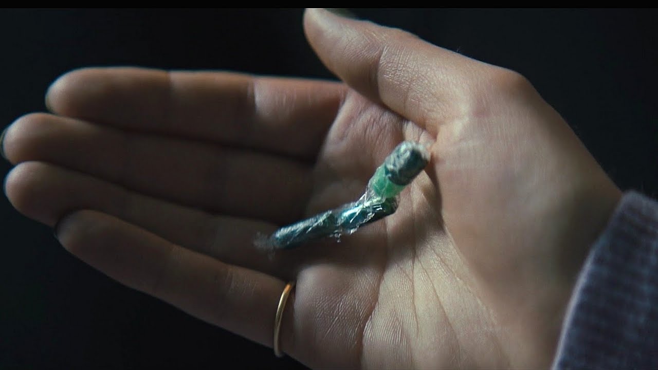 Chloe gave her Mom Dog Meds Run 2020 YouTube