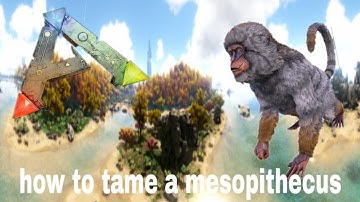 Ark how to tame a Mesopithecus!!!