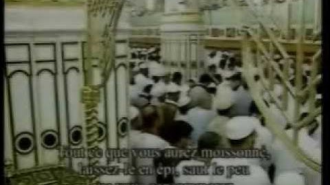 سورة يوسف -2- للشيخ سعد الغامدي