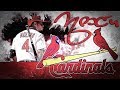 Yadier Molina | 2017 Cardinals Highlights ᴴᴰ