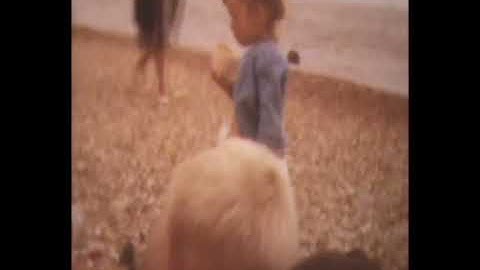 Selsey bill 1965 Harvey