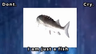 Don’t cry I am just a fish