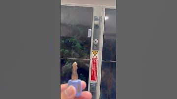 Lockers #asifayyaz59 #usavisa #ukvisa #japan